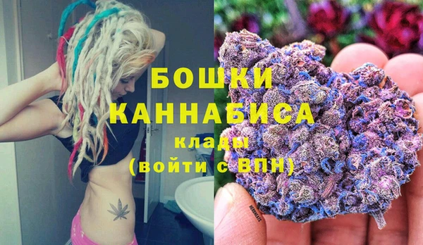 амф Бронницы