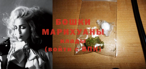 дживик Няндома